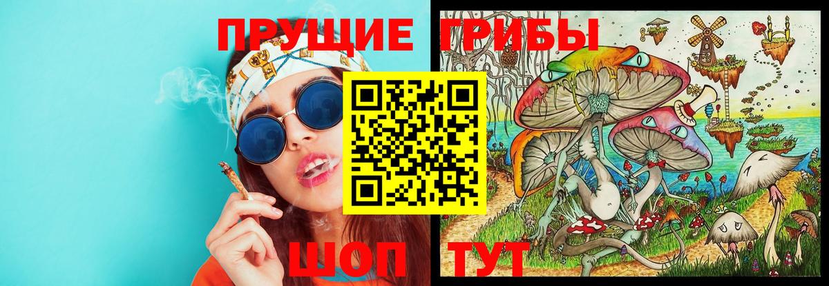закладка  Псилоцибиновые грибы Cubensis  Вход с VPN  Видное 